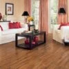 Congoleum ArmorCore UR Wood Ridge 12-ft W Cut-to-Length Autumn Bronze Wood Look Low-Gloss Finish Sheet Vinyl 1 Congoleum ArmorCore UR Wood Ridge 12-ft W Cut-to-Length Autumn Bronze Wood Look Low-Gloss Finish Sheet Vinyl -Home Flooring Store 020275376426 15138350 1800x1800