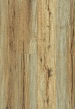 Home Flooring Store -Home Flooring Store 09475533 1259d933 e9fa 4081 a931 e1d9cbbddaae 1800x1800