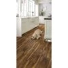 Shaw Prismatic Plus 8-Piece 7.09-in X 48.03-in Canyon Acacia Luxury Vinyl Plank Flooring -Home Flooring Store 190402122698 11703202 1800x1800