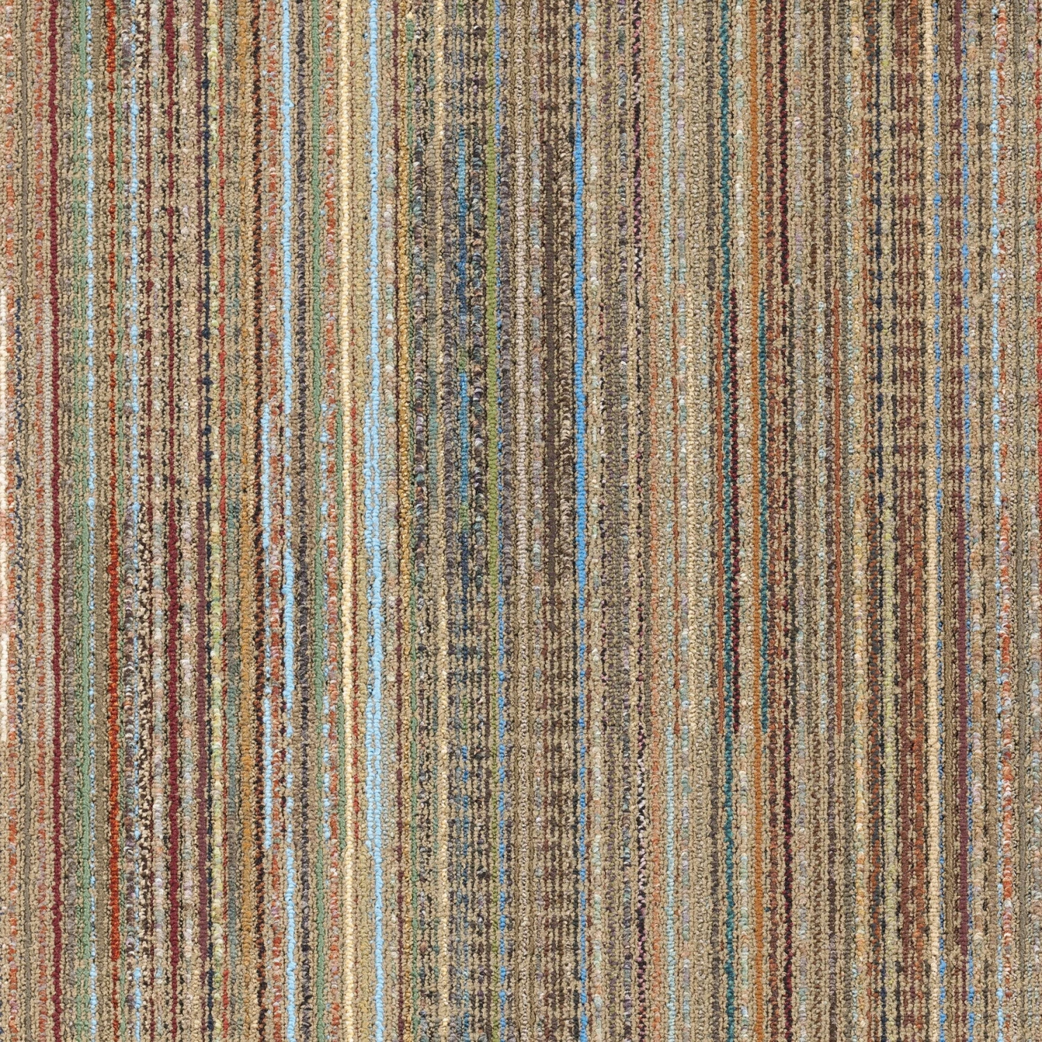 Queensferry 24" X 24" (72SF/carton) Carpet Tile In BLACK VELVET 5 Queensferry 24" X 24" (72SF/carton) Carpet Tile In BLACK VELVET - Image 3