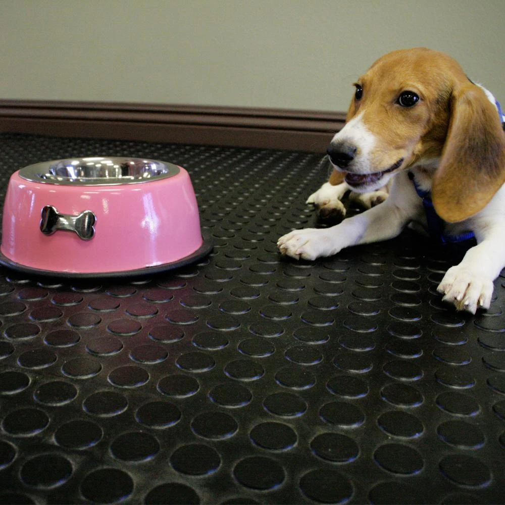 Rubber-Cal Coin Grip 4 Ft. X 25 Ft. Dark Grey Commercial Grade PVC Flooring 8 Rubber-Cal Coin Grip 4 Ft. X 25 Ft. Dark Grey Commercial Grade PVC Flooring - Image 6